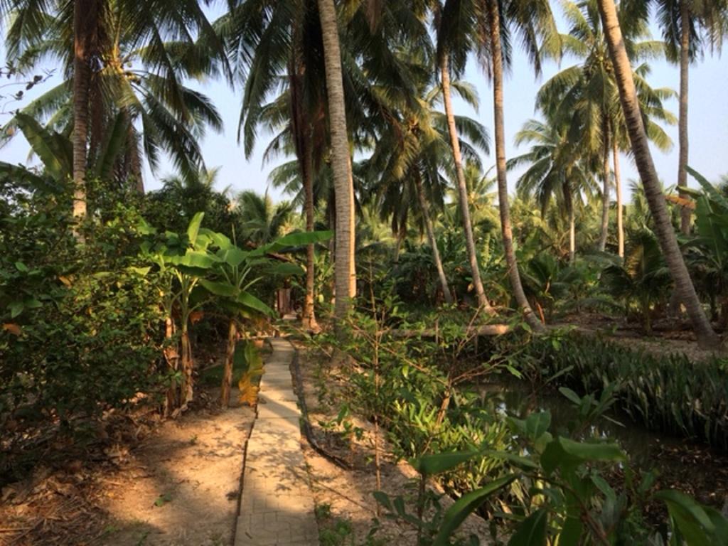 Charming Countryside Homestay Ben Tre Eksteriør billede